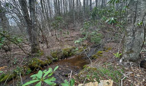 Photo #62 of 311 Dan River Rd, Meadows of Dan, VA 116.3 acres