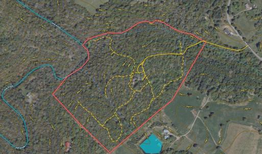 Photo #73 of 311 Dan River Rd, Meadows of Dan, VA 116.3 acres