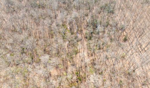 Photo #74 of 311 Dan River Rd, Meadows of Dan, VA 116.3 acres