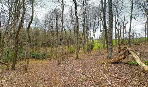Photo #75 of 311 Dan River Rd, Meadows of Dan, VA 116.3 acres