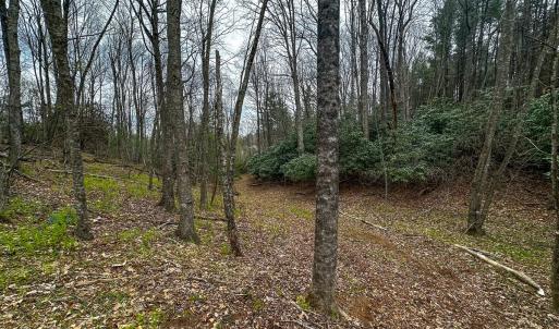 Photo #76 of 311 Dan River Rd, Meadows of Dan, VA 116.3 acres