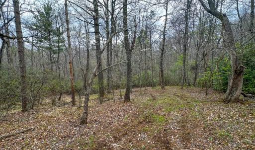 Photo #77 of 311 Dan River Rd, Meadows of Dan, VA 116.3 acres