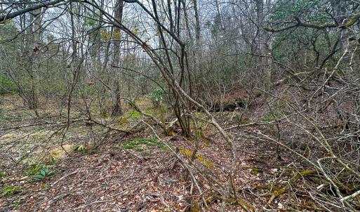 Photo #78 of 311 Dan River Rd, Meadows of Dan, VA 116.3 acres