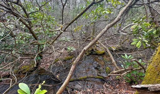 Photo #79 of 311 Dan River Rd, Meadows of Dan, VA 116.3 acres