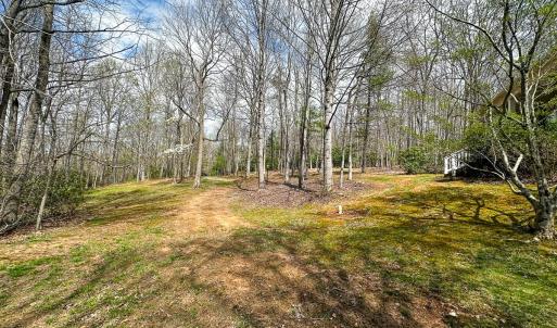 Photo #80 of 311 Dan River Rd, Meadows of Dan, VA 116.3 acres