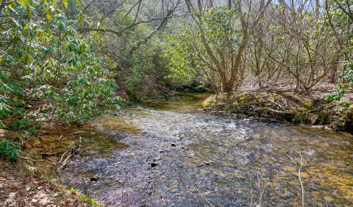 Photo #81 of 311 Dan River Rd, Meadows of Dan, VA 116.3 acres