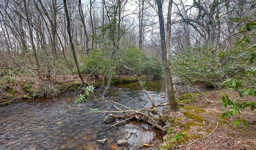 Photo #82 of 311 Dan River Rd, Meadows of Dan, VA 116.3 acres
