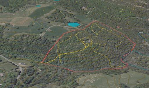 Photo #83 of 311 Dan River Rd, Meadows of Dan, VA 116.3 acres