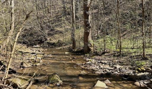Photo #10 of 1297 Dry Creek Road, Blackwater, VA 50.5 acres