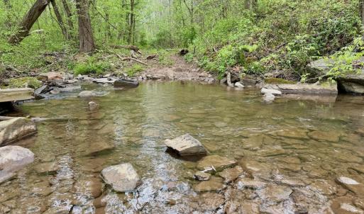 Photo #13 of 1297 Dry Creek Road, Blackwater, VA 50.5 acres
