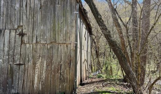 Photo #17 of 1297 Dry Creek Road, Blackwater, VA 50.5 acres