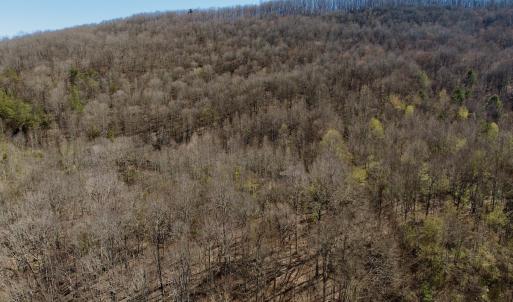 Photo #18 of 1297 Dry Creek Road, Blackwater, VA 50.5 acres