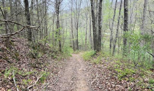Photo #22 of 1297 Dry Creek Road, Blackwater, VA 50.5 acres