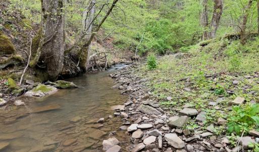 Photo #23 of 1297 Dry Creek Road, Blackwater, VA 50.5 acres