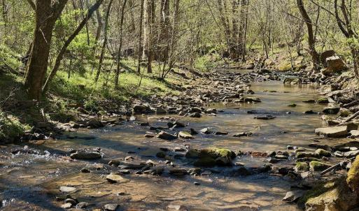 Photo #5 of 1297 Dry Creek Road, Blackwater, VA 50.5 acres