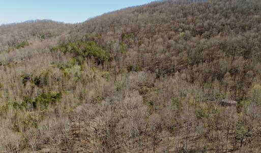 Photo #6 of 1297 Dry Creek Road, Blackwater, VA 50.5 acres