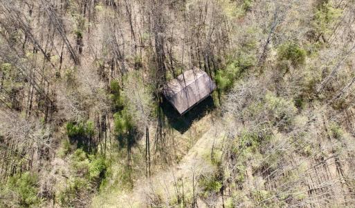 Photo #8 of 1297 Dry Creek Road, Blackwater, VA 50.5 acres