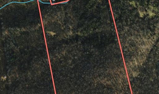 Photo #25 of 1297 Dry Creek Road, Blackwater, VA 50.5 acres