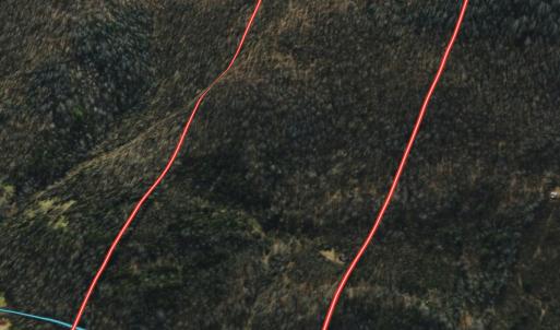 Photo #27 of 1297 Dry Creek Road, Blackwater, VA 50.5 acres