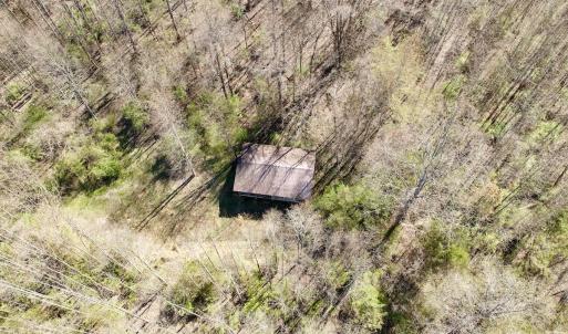 Photo #31 of 1297 Dry Creek Road, Blackwater, VA 50.5 acres