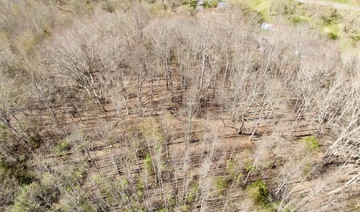 Photo #33 of 1297 Dry Creek Road, Blackwater, VA 50.5 acres