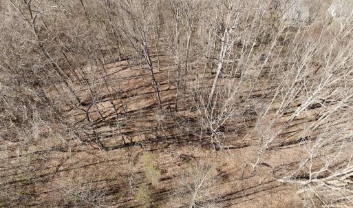 Photo #34 of 1297 Dry Creek Road, Blackwater, VA 50.5 acres