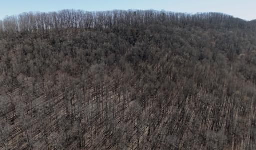 Photo #46 of 1297 Dry Creek Road, Blackwater, VA 50.5 acres