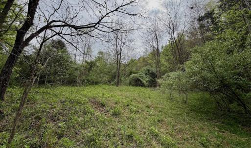 Photo #62 of 1297 Dry Creek Road, Blackwater, VA 50.5 acres