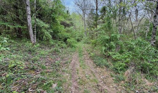Photo #63 of 1297 Dry Creek Road, Blackwater, VA 50.5 acres