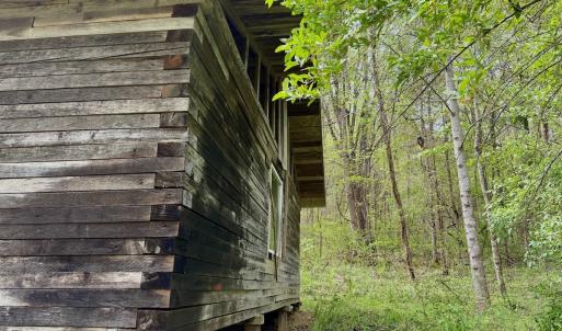 Photo #66 of 1297 Dry Creek Road, Blackwater, VA 50.5 acres