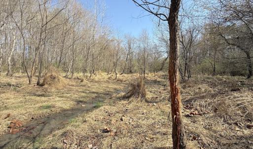 Photo #10 of Off Tar River Rd, Oxford, NC 14.7 acres