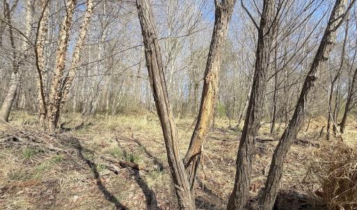 Photo #11 of Off Tar River Rd, Oxford, NC 14.7 acres