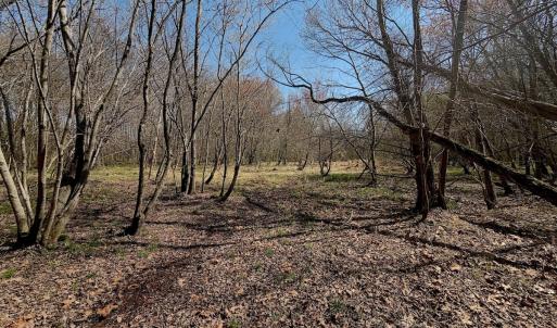 Photo #14 of Off Tar River Rd, Oxford, NC 14.7 acres