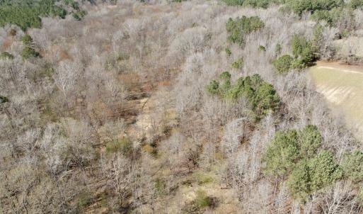 Photo #15 of Off Tar River Rd, Oxford, NC 14.7 acres