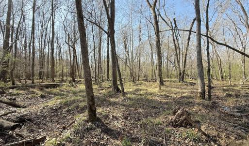 Photo #16 of Off Tar River Rd, Oxford, NC 14.7 acres