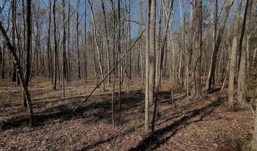 Photo #17 of Off Tar River Rd, Oxford, NC 14.7 acres