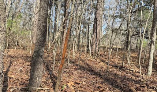 Photo #18 of Off Tar River Rd, Oxford, NC 14.7 acres