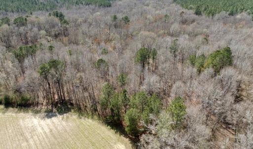 Photo #19 of Off Tar River Rd, Oxford, NC 14.7 acres