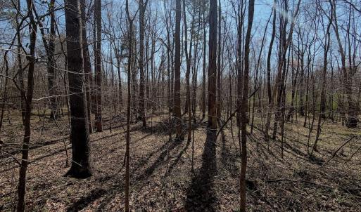 Photo #26 of Off Tar River Rd, Oxford, NC 14.7 acres