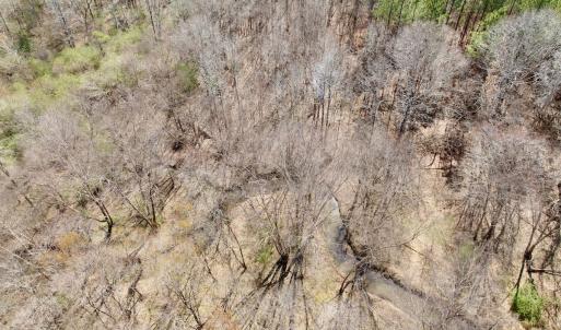 Photo #6 of Off Tar River Rd, Oxford, NC 14.7 acres