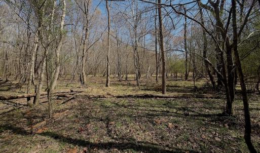 Photo #7 of Off Tar River Rd, Oxford, NC 14.7 acres