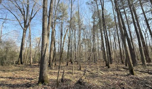 Photo #8 of Off Tar River Rd, Oxford, NC 14.7 acres