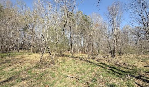 Photo #9 of Off Tar River Rd, Oxford, NC 14.7 acres