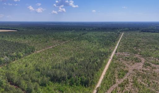 Photo #10 of Lot 6 Guinea Mill Rd, Ernul, NC 25.0 acres