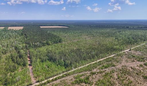 Photo #11 of Lot 6 Guinea Mill Rd, Ernul, NC 25.0 acres