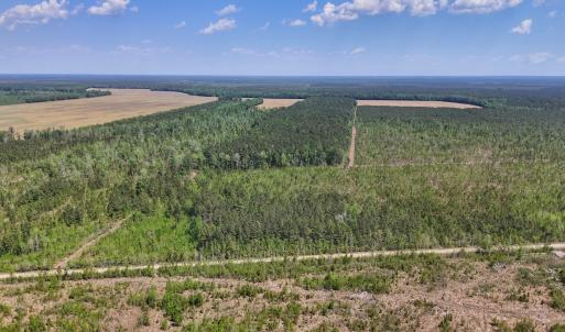 Photo #12 of Lot 6 Guinea Mill Rd, Ernul, NC 25.0 acres