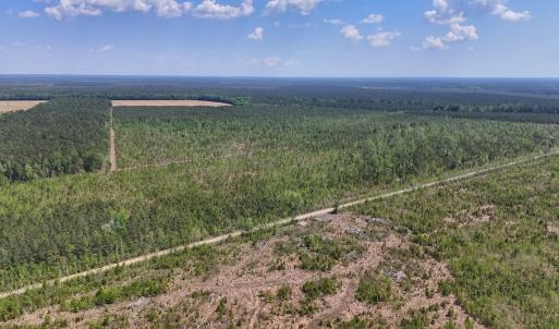 Photo #13 of Lot 6 Guinea Mill Rd, Ernul, NC 25.0 acres