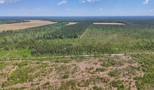 Photo #14 of Lot 6 Guinea Mill Rd, Ernul, NC 25.0 acres