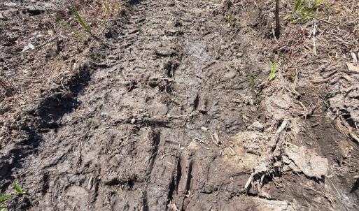 Photo #17 of Lot 6 Guinea Mill Rd, Ernul, NC 25.0 acres