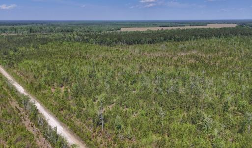 Photo #1 of Lot 6 Guinea Mill Rd, Ernul, NC 25.0 acres